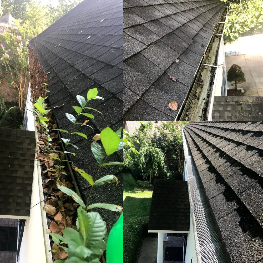 Gutter Cleaning Springdale