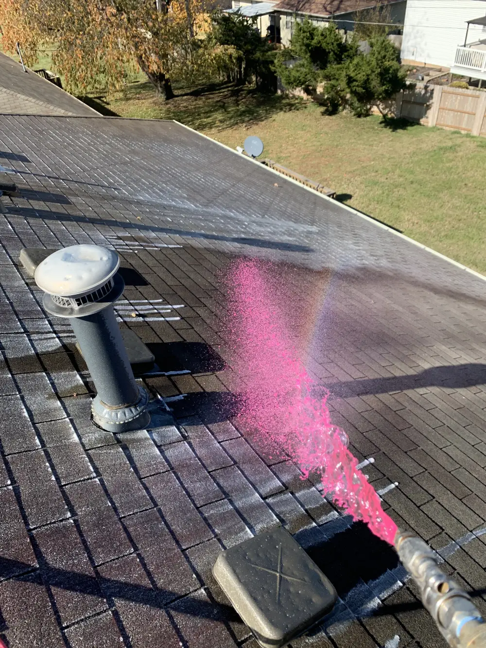 Roof Cleaning Springdale