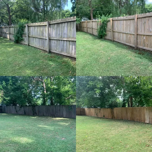 Fence Cleaning Springdale (6)