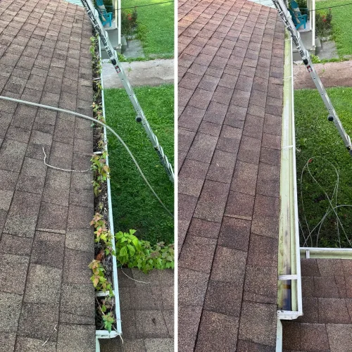 Gutter Cleaning Springdale (5)