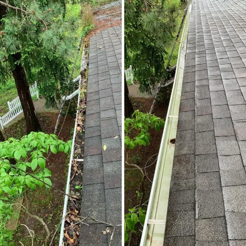 Gutter Cleaning Springdale (8)